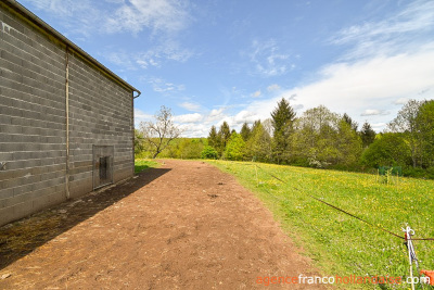 Farmhouse on 17 acres and various water sources