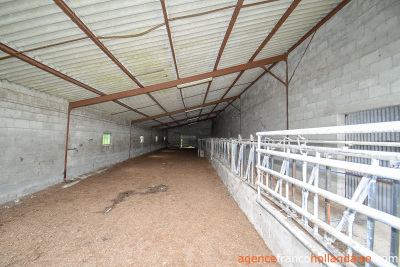 Typical Correze farmhouse and over 10 acres of land