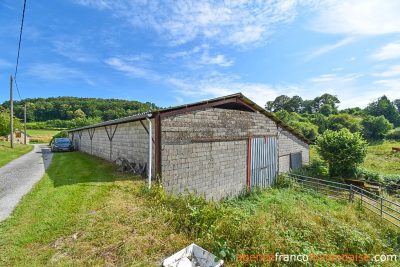 Typical Correze farmhouse and over 10 acres of land