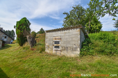 Typical Correze farmhouse and over 10 acres of land