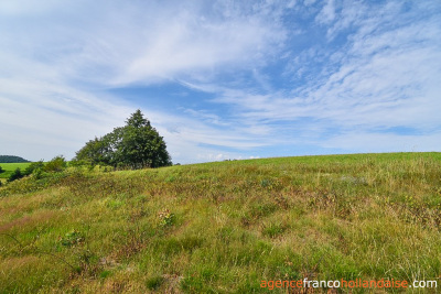 Typical Correze farmhouse and over 10 acres of land