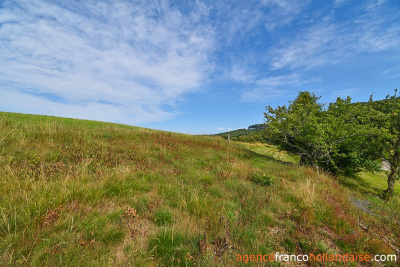 Typical Correze farmhouse and over 10 acres of land