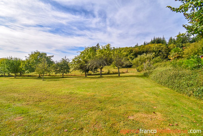 House with barns, swimming pool and close to 4 acres