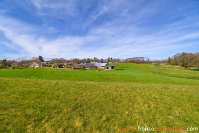 Farmhouse, outbuildings and use of almost 10 acres