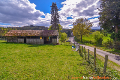 Holiday cottage with lake view