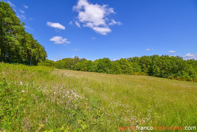 Overlooking nature on a big plot