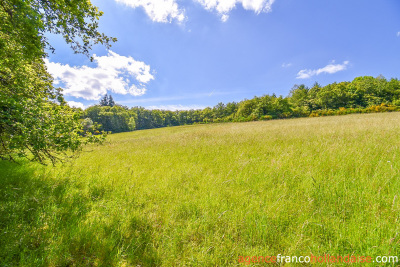 Overlooking nature on a big plot