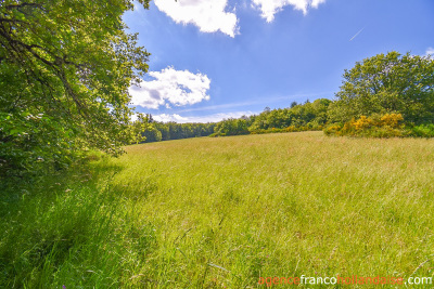 Overlooking nature on a big plot