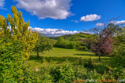 Overlooking nature on a big plot