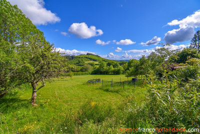 Overlooking nature on a big plot