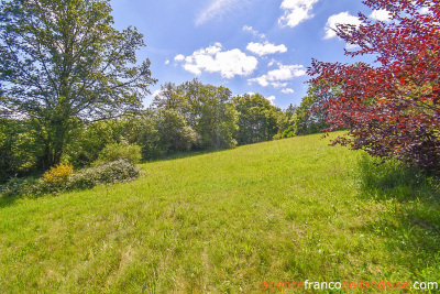 Overlooking nature on a big plot