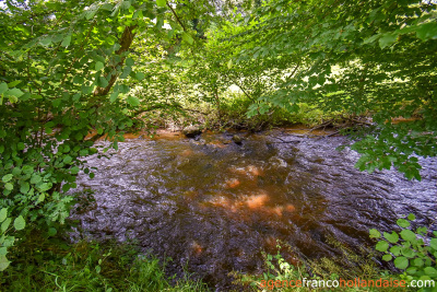 The little gem by the brook