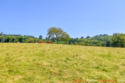 In the countryside and in its green setting