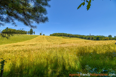 In the countryside and in its green setting