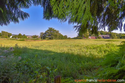 Bungalow with outbuildings and a mature park