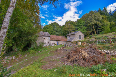 A Limousin paradise immersed in nature