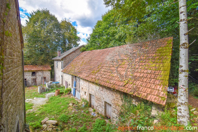 A Limousin paradise immersed in nature