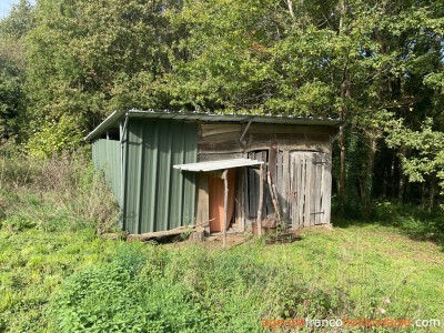 Cosy cottage with barn and woodlands