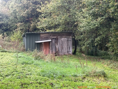 Cosy cottage with barn and woodlands