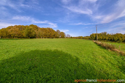 Limousin farmhouse in need of a complete renovation