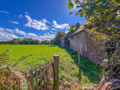 Two Limousin farmhouses to renovate and ca. 3 acres