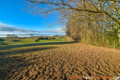 Farmhouse with 7 ½ acres