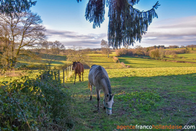 Farmhouse with 7 ½ acres